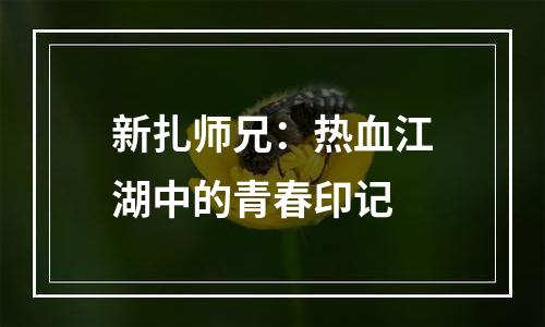 新扎师兄：热血江湖中的青春印记