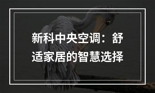新科中央空调：舒适家居的智慧选择