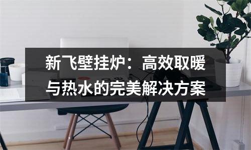 新飞壁挂炉：高效取暖与热水的完美解决方案