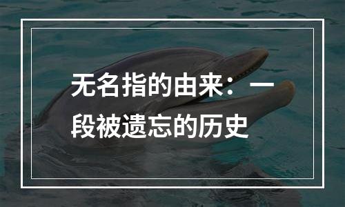 无名指的由来：一段被遗忘的历史