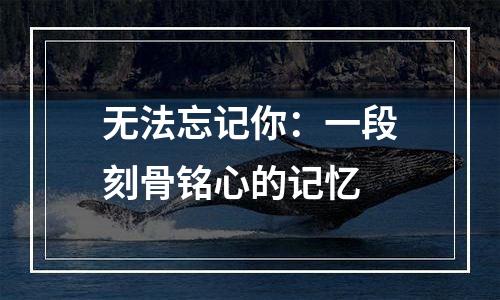 无法忘记你：一段刻骨铭心的记忆