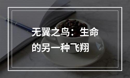 无翼之鸟：生命的另一种飞翔