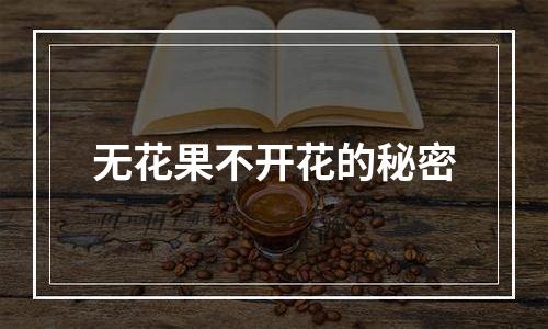 无花果不开花的秘密