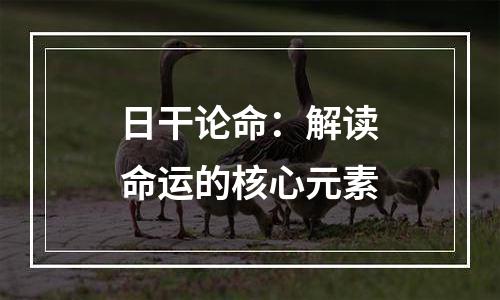 日干论命：解读命运的核心元素