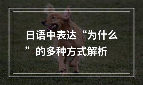 日语中表达“为什么”的多种方式解析