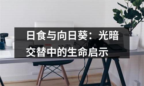 日食与向日葵：光暗交替中的生命启示