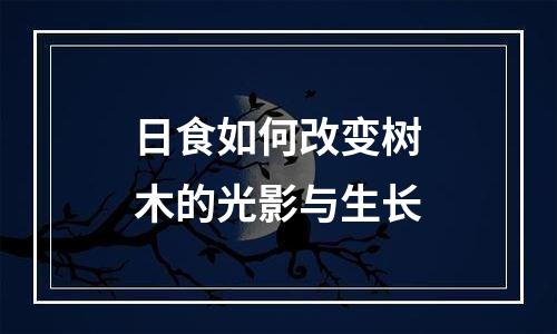 日食如何改变树木的光影与生长