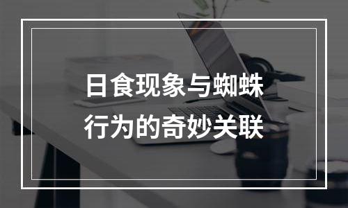 日食现象与蜘蛛行为的奇妙关联