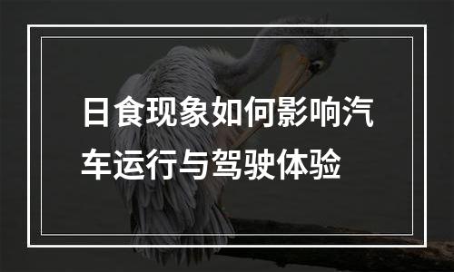 日食现象如何影响汽车运行与驾驶体验