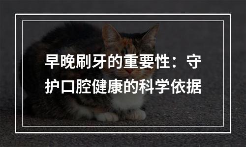 早晚刷牙的重要性：守护口腔健康的科学依据
