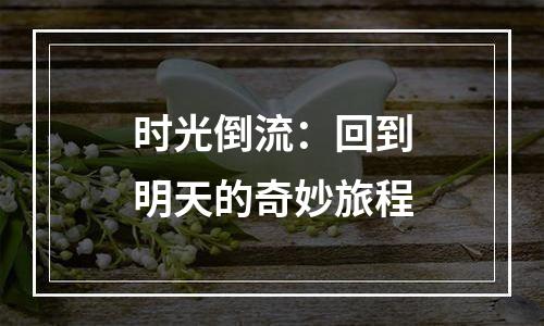 时光倒流：回到明天的奇妙旅程