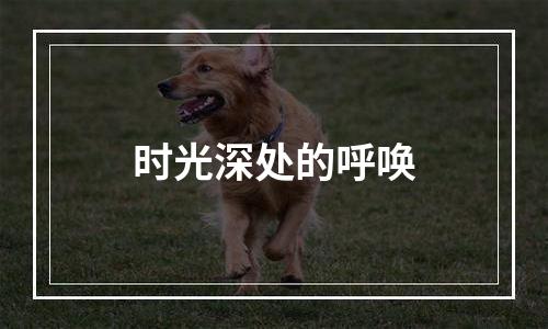 时光深处的呼唤