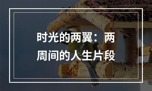 时光的两翼：两周间的人生片段