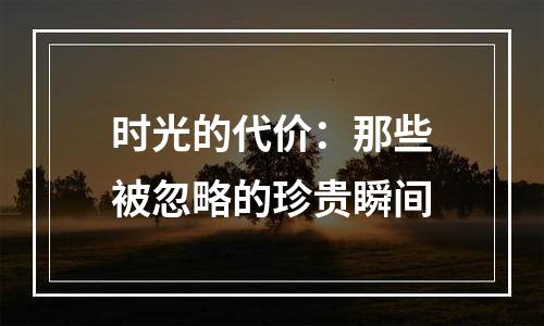 时光的代价：那些被忽略的珍贵瞬间