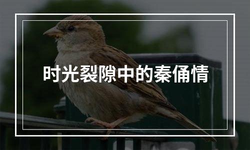 时光裂隙中的秦俑情