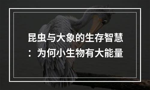 昆虫与大象的生存智慧：为何小生物有大能量