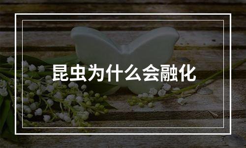 昆虫为什么会融化