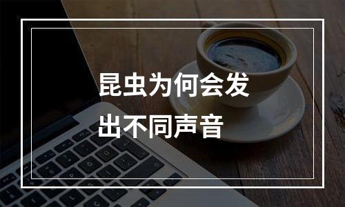 昆虫为何会发出不同声音