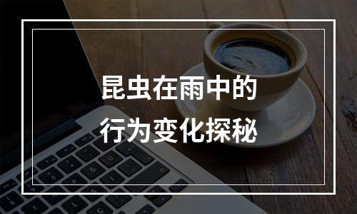 昆虫在雨中的行为变化探秘