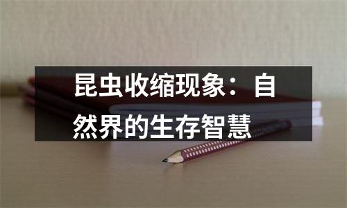 昆虫收缩现象：自然界的生存智慧