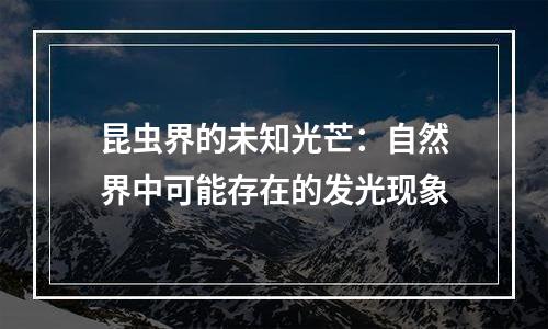 昆虫界的未知光芒：自然界中可能存在的发光现象