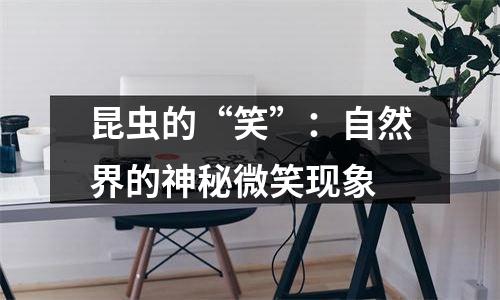 昆虫的“笑”：自然界的神秘微笑现象