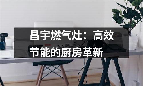 昌宇燃气灶：高效节能的厨房革新