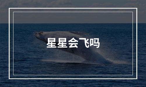 星星会飞吗
