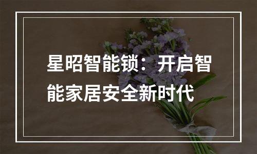 星昭智能锁：开启智能家居安全新时代