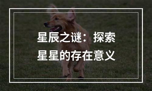 星辰之谜：探索星星的存在意义