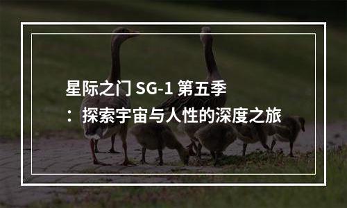星际之门 SG-1 第五季：探索宇宙与人性的深度之旅