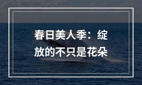春日美人季：绽放的不只是花朵