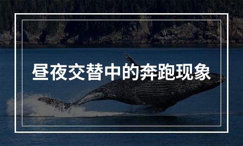 昼夜交替中的奔跑现象