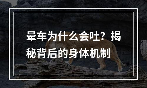 晕车为什么会吐？揭秘背后的身体机制
