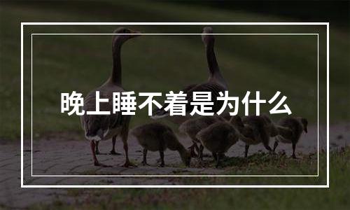 晚上睡不着是为什么