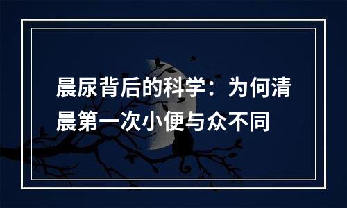晨尿背后的科学：为何清晨第一次小便与众不同