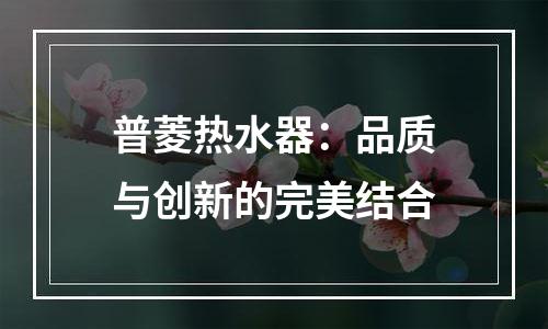普菱热水器：品质与创新的完美结合