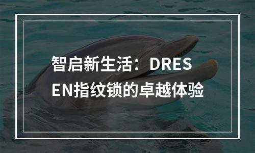 智启新生活：DRESEN指纹锁的卓越体验