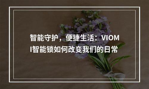 智能守护，便捷生活：VIOMI智能锁如何改变我们的日常