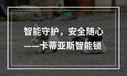 智能守护，安全随心——卡蒂亚斯智能锁
