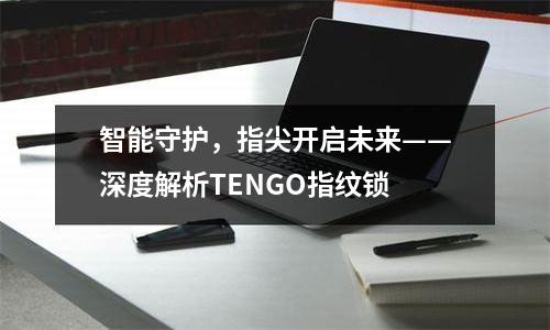智能守护，指尖开启未来——深度解析TENGO指纹锁