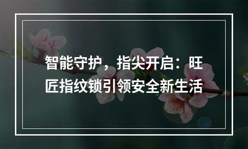 智能守护，指尖开启：旺匠指纹锁引领安全新生活