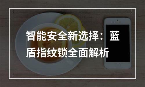 智能安全新选择：蓝盾指纹锁全面解析