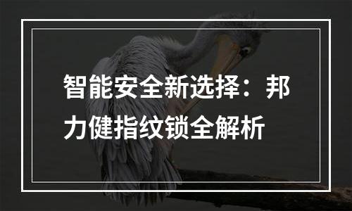 智能安全新选择：邦力健指纹锁全解析