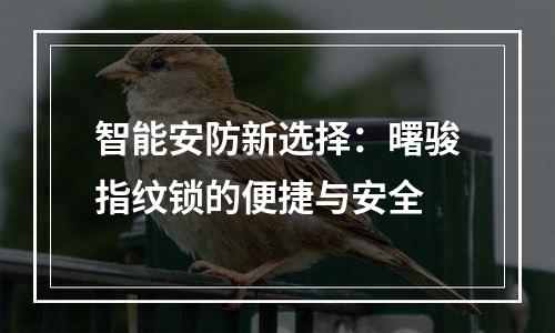 智能安防新选择：曙骏指纹锁的便捷与安全