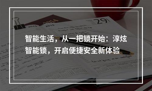 智能生活，从一把锁开始：淳炫智能锁，开启便捷安全新体验