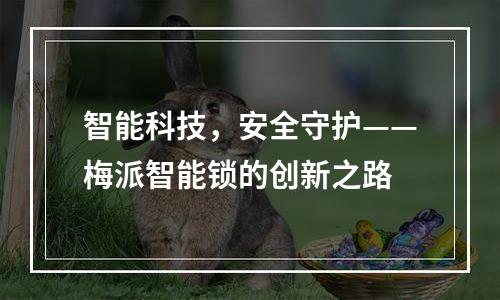 智能科技，安全守护——梅派智能锁的创新之路