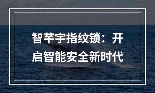 智芊宇指纹锁：开启智能安全新时代