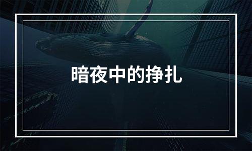 暗夜中的挣扎