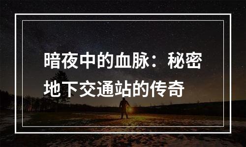 暗夜中的血脉：秘密地下交通站的传奇